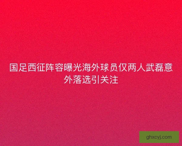 国足西征阵容曝光海外球员仅两人武磊意外落选引关注 国足西征阵容曝光海外球员仅两人武磊意外落选引关注