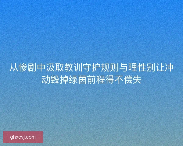 从惨剧中汲取教训守护规则与理性别让冲动毁掉绿茵前程得不偿失